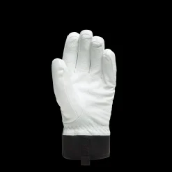 Dainese HP SKIHANDSCHUHE FÜR DAMEN LILY-WHITE/STRETCH-LIMO Best